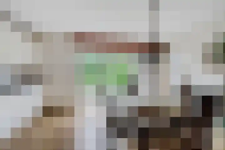 Siaerdamasingel 49 Dronryp thumbnail 7