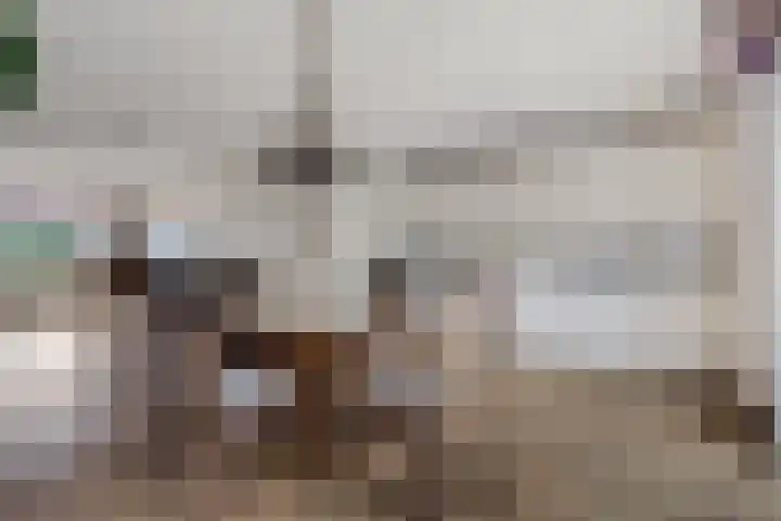 Siaerdamasingel 49 Dronryp thumbnail 8