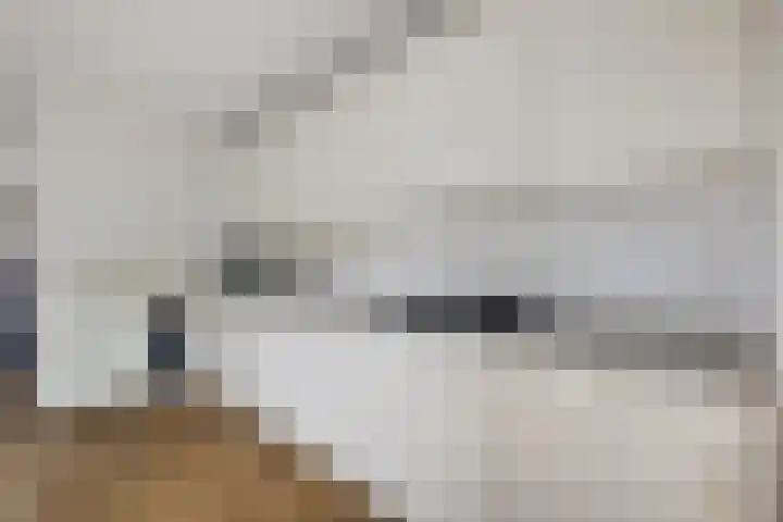 Siaerdamasingel 49 Dronryp thumbnail 9