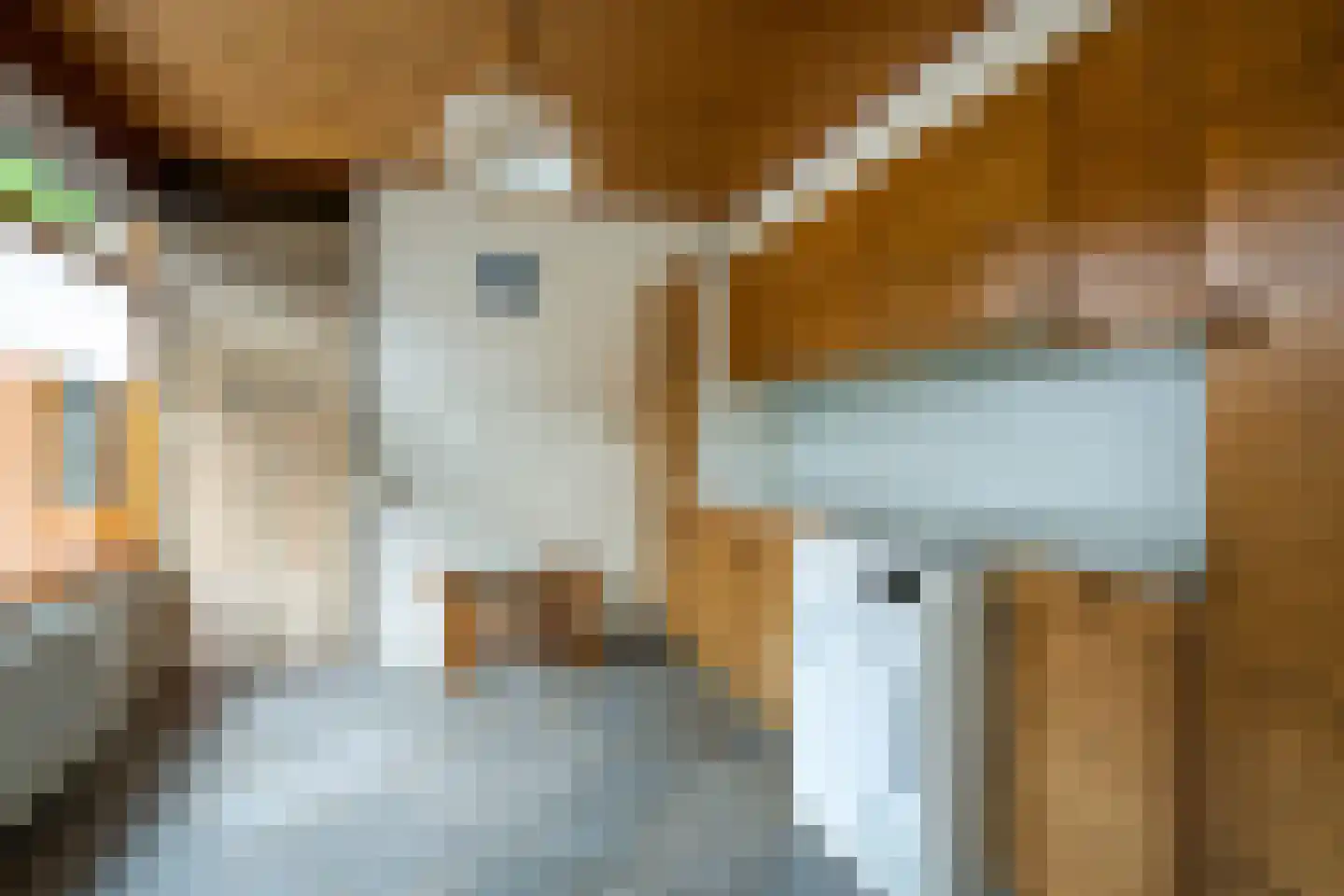 Siardus Bogaertslaan 16 Huijbergen thumbnail 14