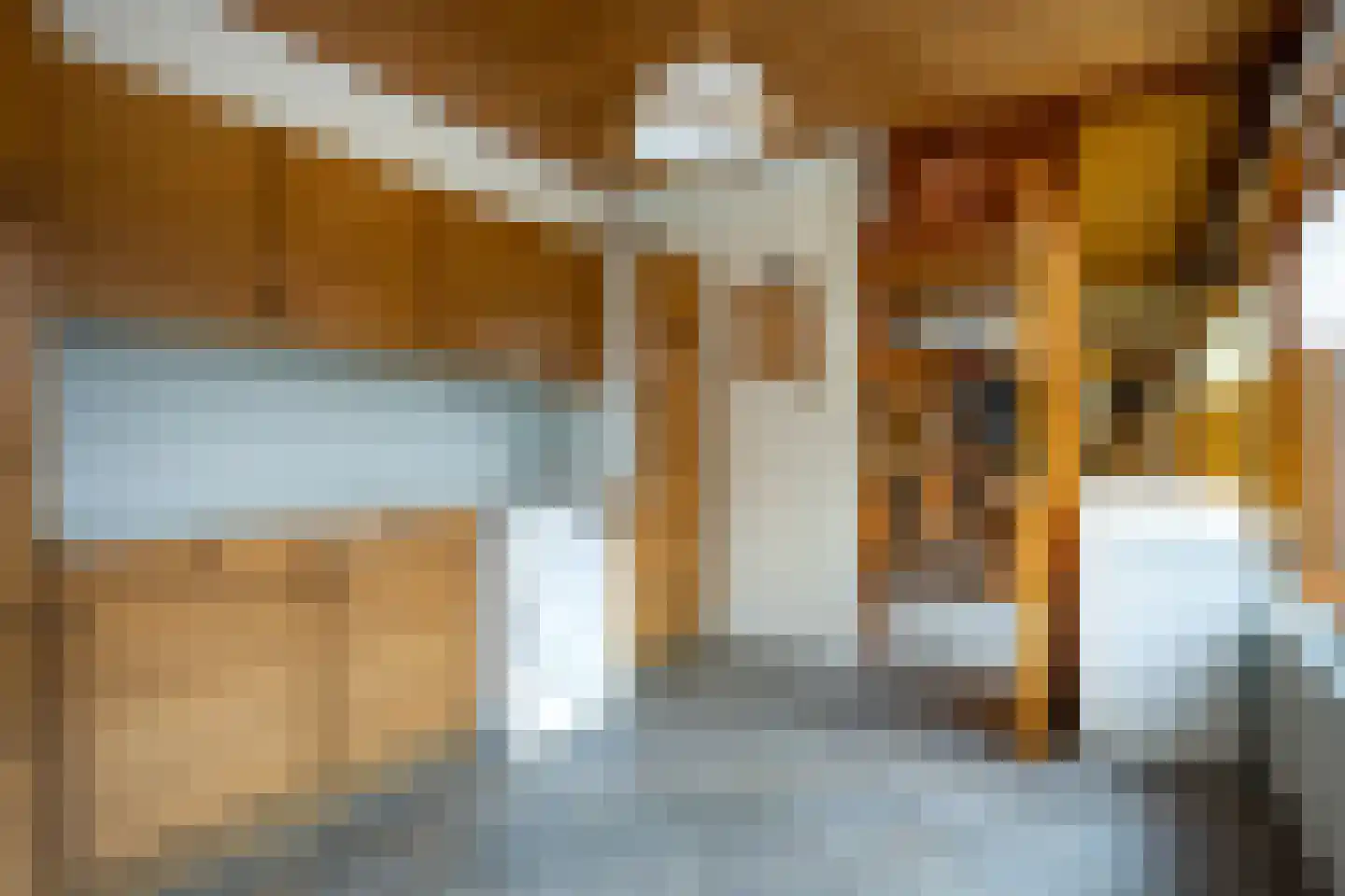 Siardus Bogaertslaan 16 Huijbergen thumbnail 15