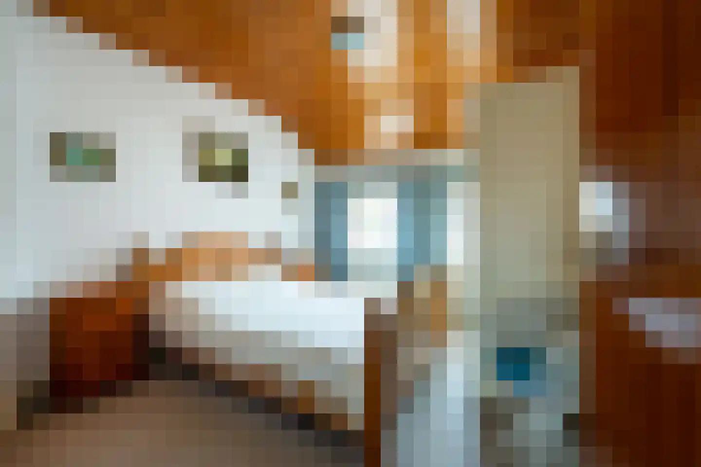 Siardus Bogaertslaan 16 Huijbergen thumbnail 24