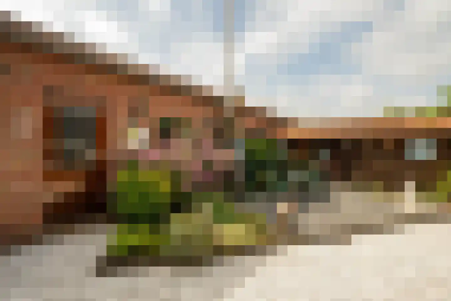 Siardus Bogaertslaan 16 Huijbergen thumbnail 35