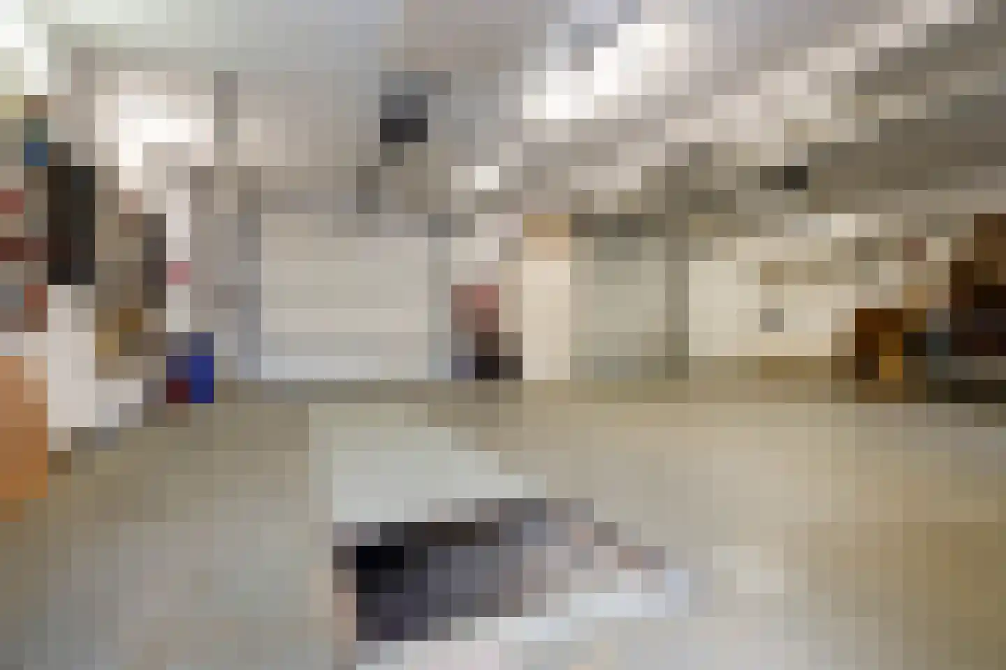 Siardus Bogaertslaan 16 Huijbergen thumbnail 37