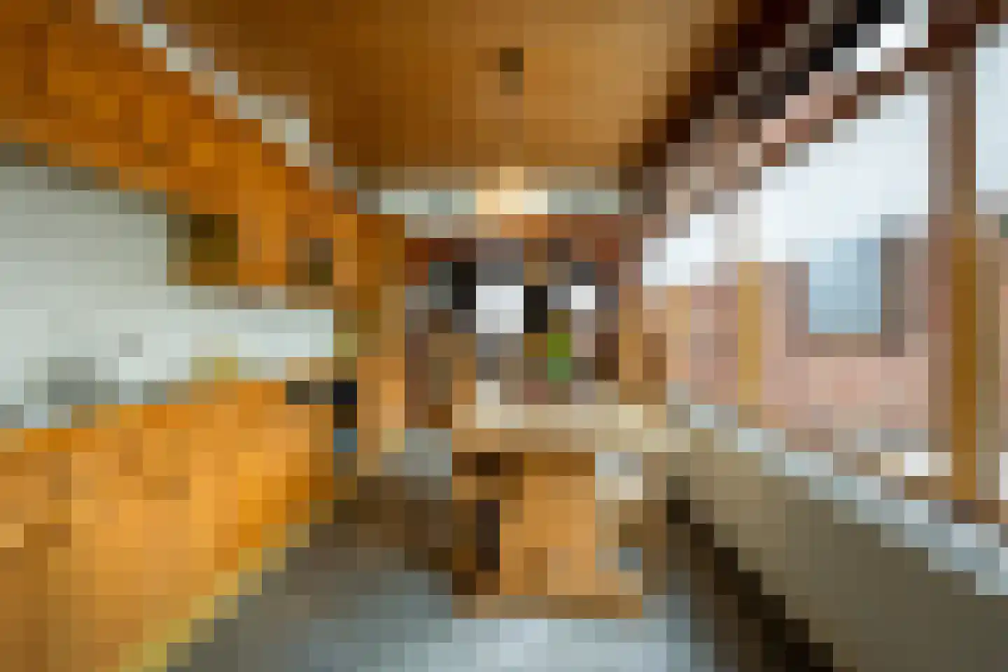 Siardus Bogaertslaan 16 Huijbergen thumbnail 5