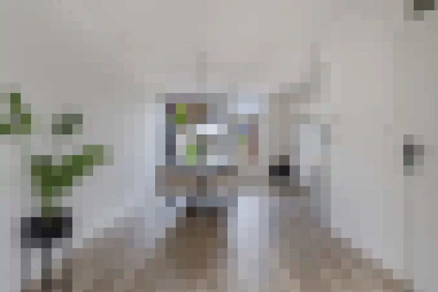 Sibadaweg 11 Harlingen thumbnail 10
