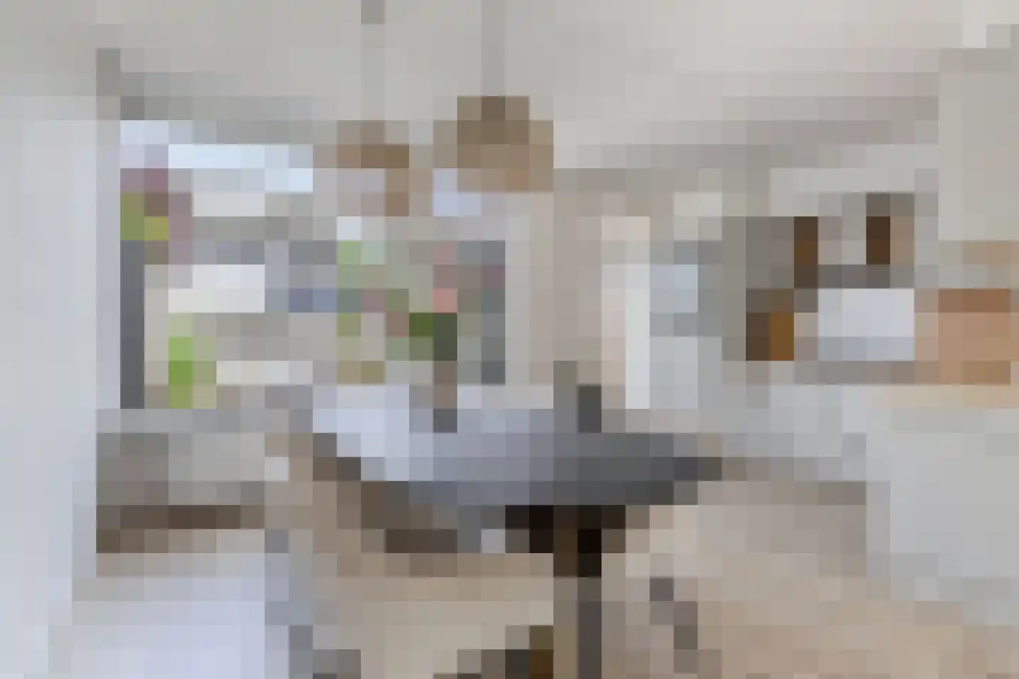 Sibadaweg 11 Harlingen thumbnail 11