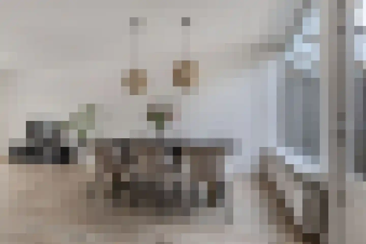 Sibadaweg 11 Harlingen thumbnail 12