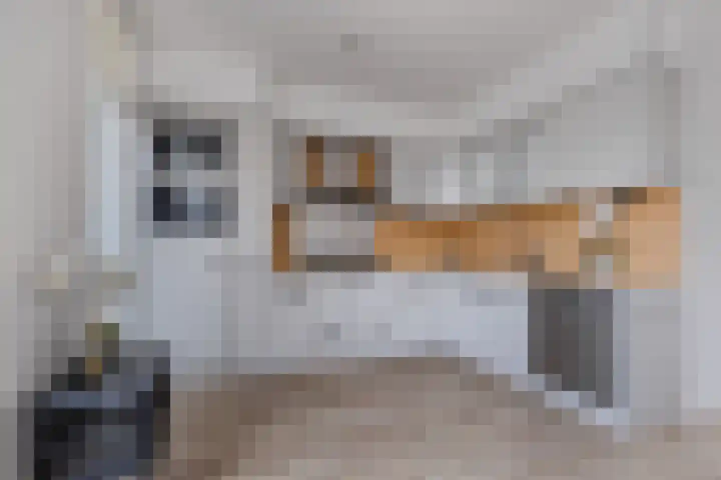 Sibadaweg 11 Harlingen thumbnail 14