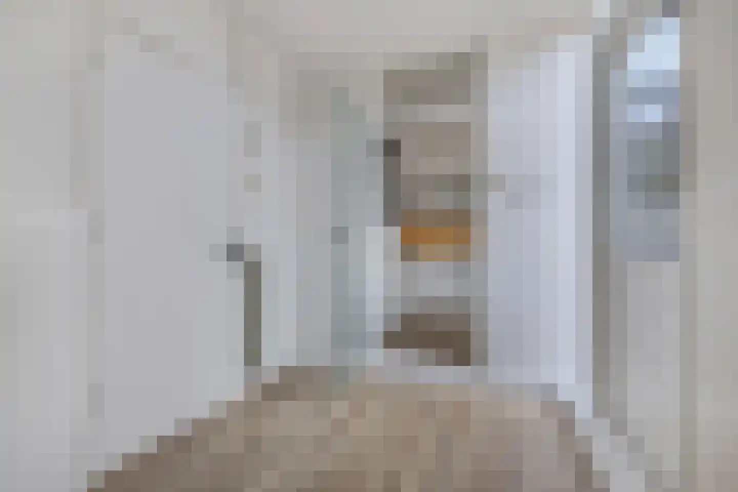 Sibadaweg 11 Harlingen thumbnail 17