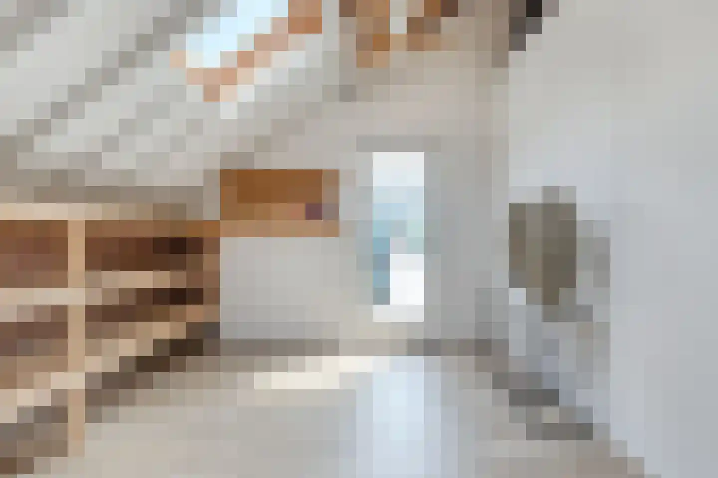 Sibadaweg 11 Harlingen thumbnail 18