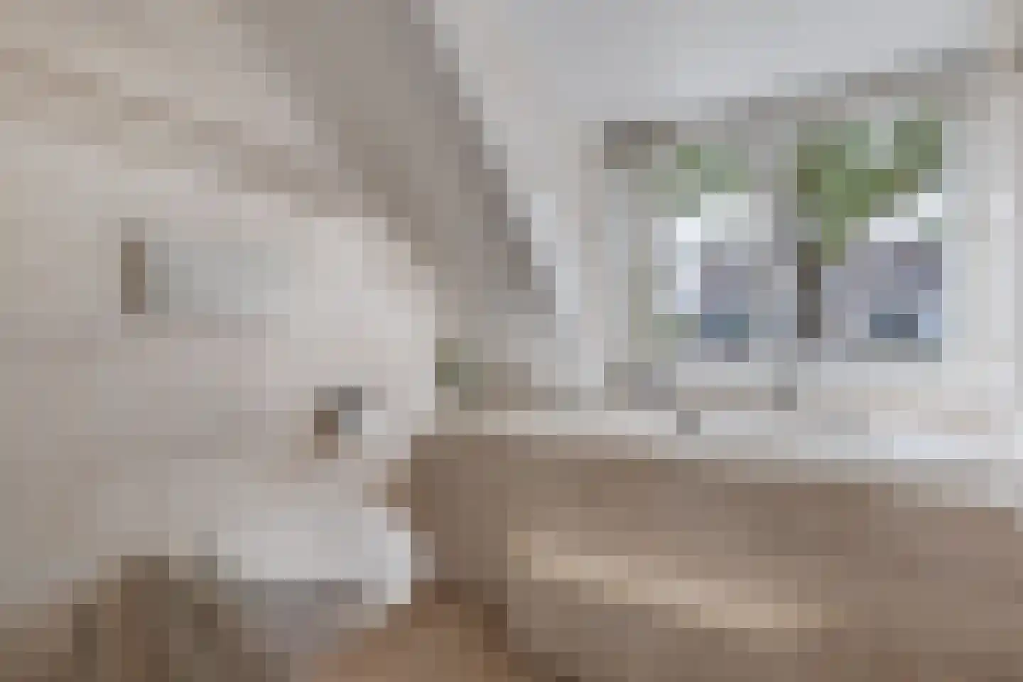 Sibadaweg 11 Harlingen thumbnail 30