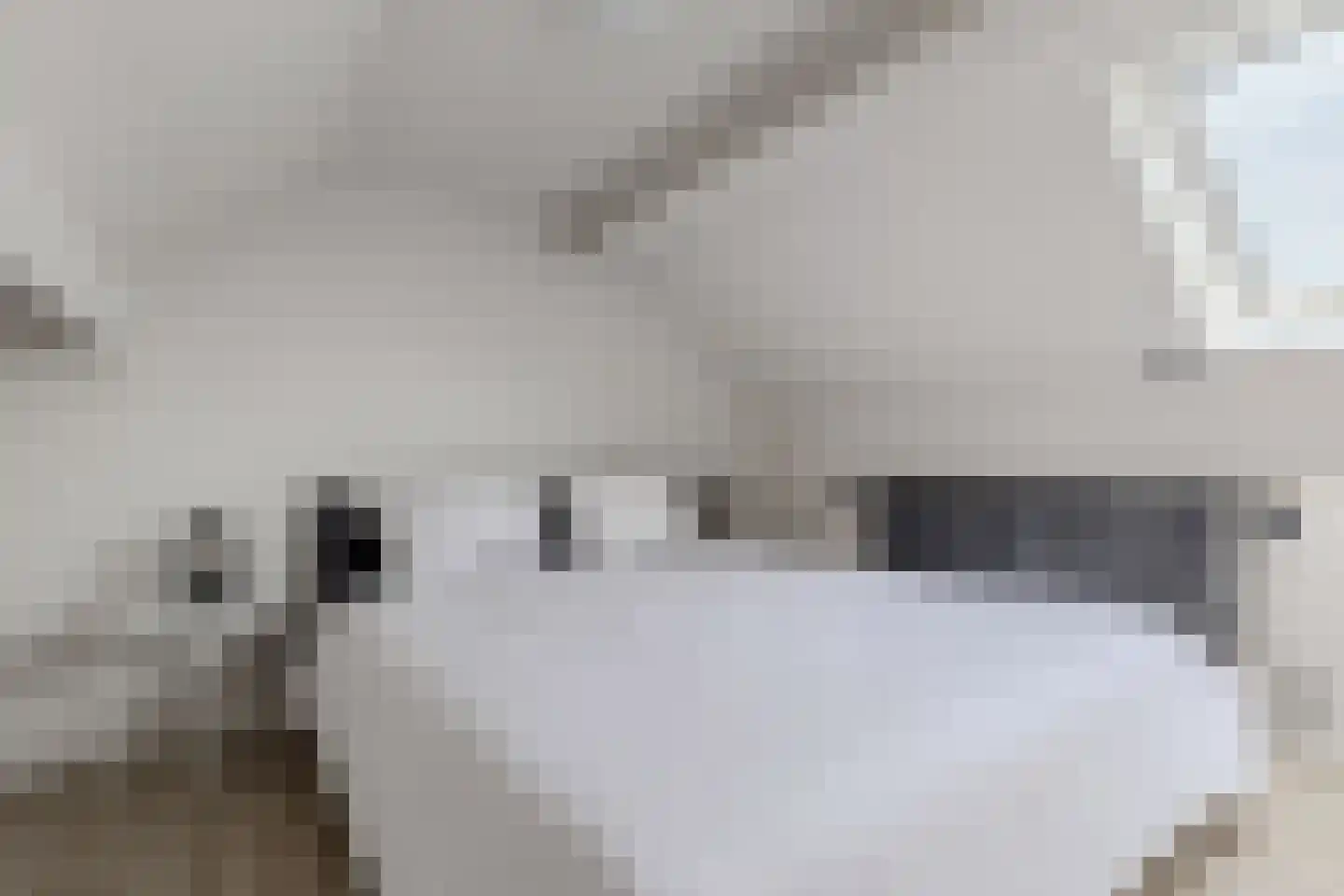 Sibadaweg 11 Harlingen thumbnail 35