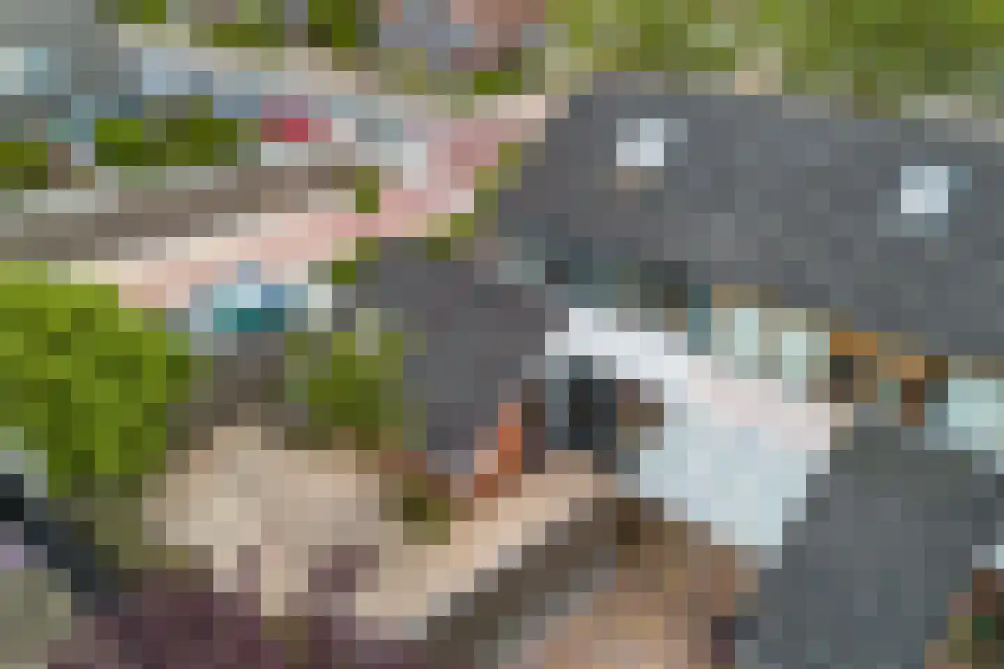 Sibadaweg 11 Harlingen thumbnail 47