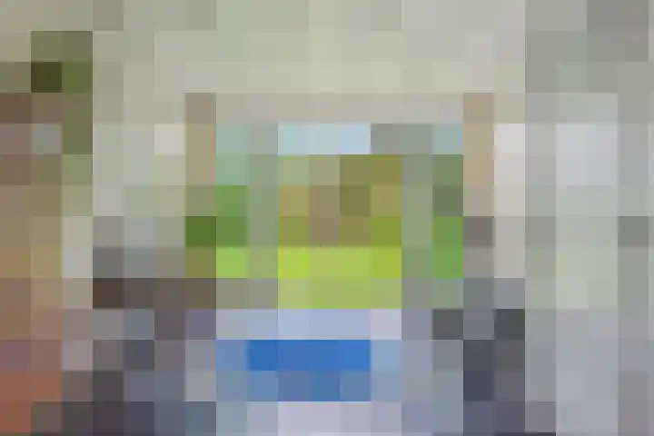 Sibadawei 30 Easterein thumbnail 12