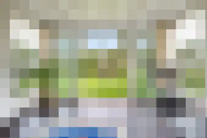 Sibadawei 30 Easterein thumbnail 13