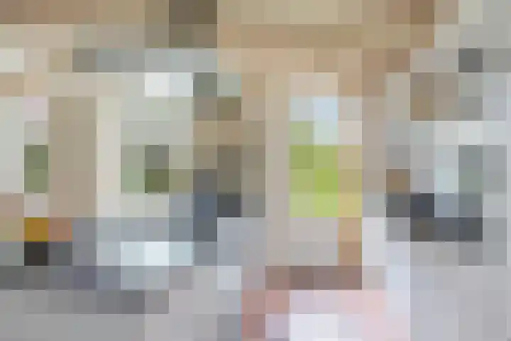 Sibadawei 30 Easterein thumbnail 18
