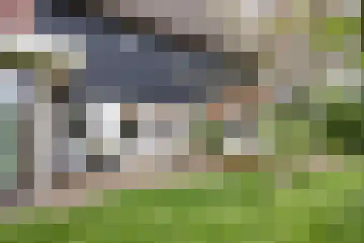 Sibadawei 30 Easterein thumbnail 36