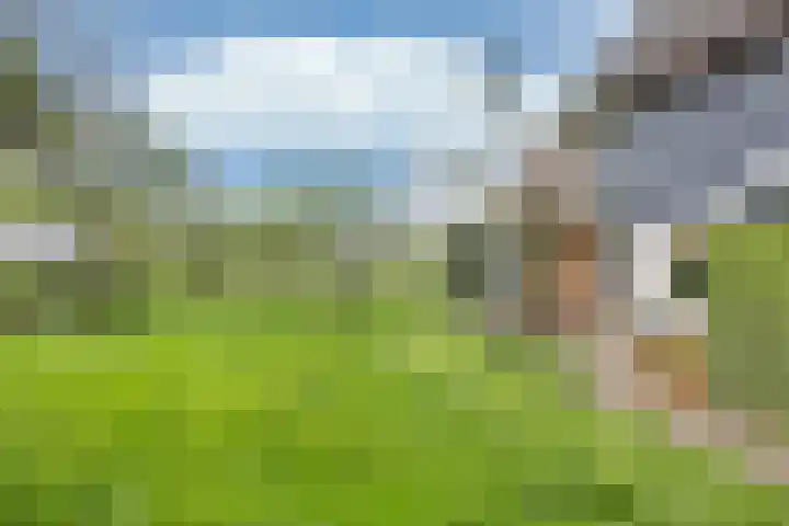 Sibadawei 30 Easterein thumbnail 37