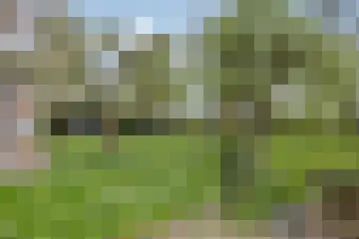 Sibadawei 30 Easterein thumbnail 39