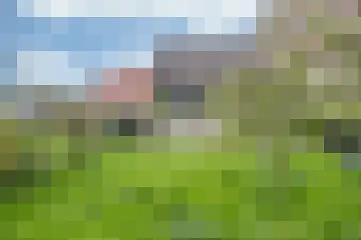 Sibadawei 30 Easterein thumbnail 41