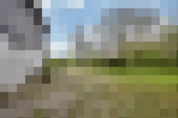 Sibadawei 30 Easterein thumbnail 42
