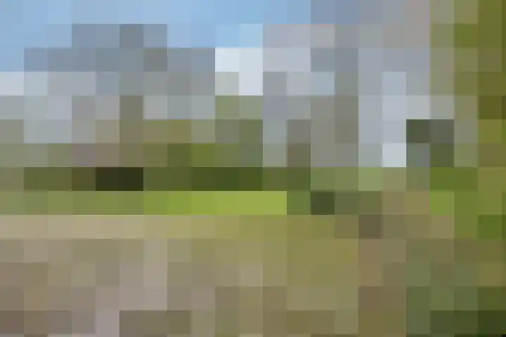 Sibadawei 30 Easterein thumbnail 43