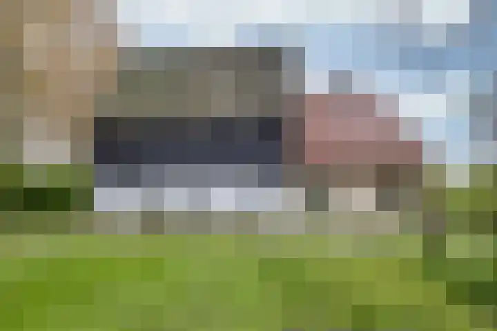 Sibadawei 30 Easterein thumbnail 44