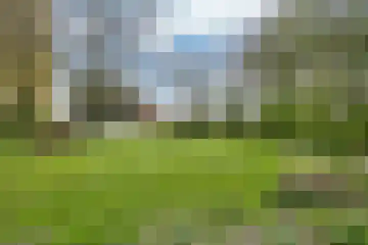 Sibadawei 30 Easterein thumbnail 45