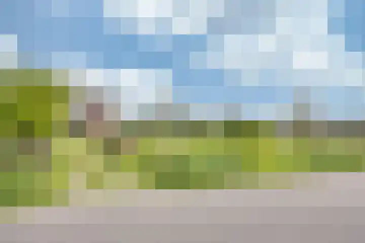 Sibadawei 30 Easterein thumbnail 46
