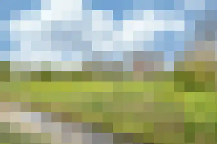Sibadawei 30 Easterein thumbnail 47
