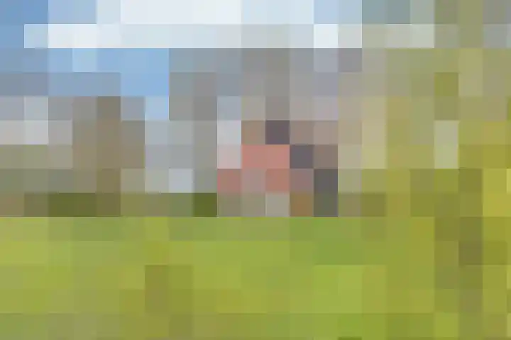 Sibadawei 30 Easterein thumbnail 48