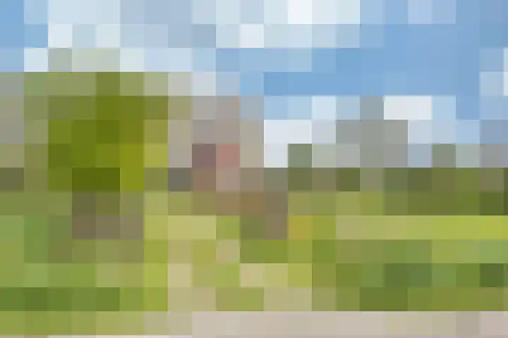 Sibadawei 30 Easterein thumbnail 5