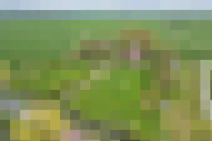 Sibadawei 30 Easterein thumbnail 53