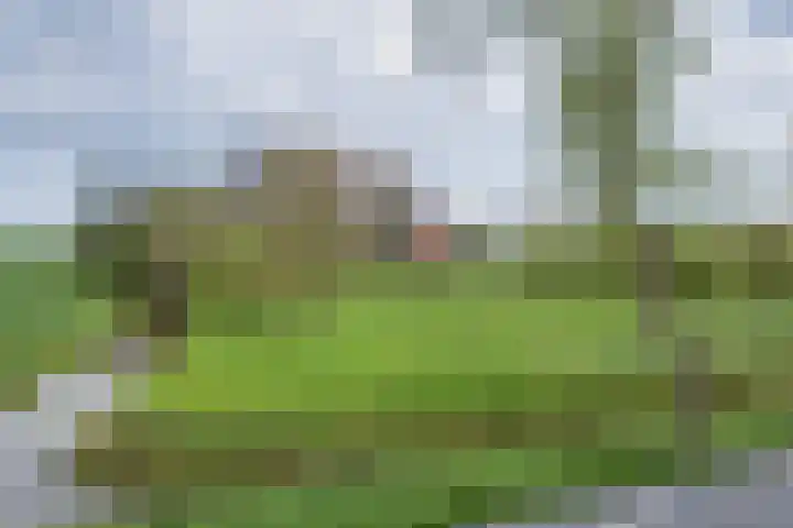 Sibadawei 30 Easterein thumbnail 57