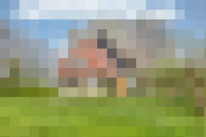 Sibadawei 30 Easterein thumbnail 6