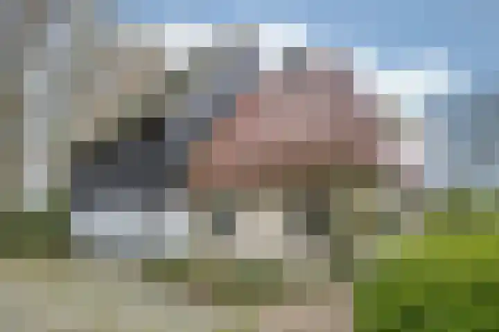 Sibadawei 30 Easterein thumbnail 7