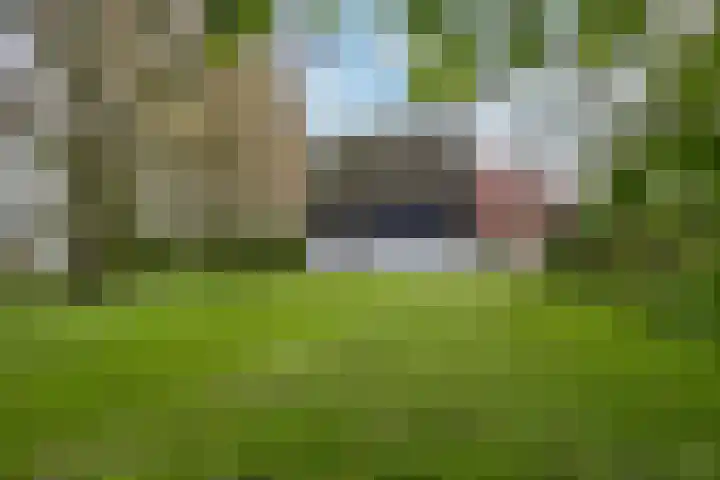 Sibadawei 30 Easterein thumbnail 8