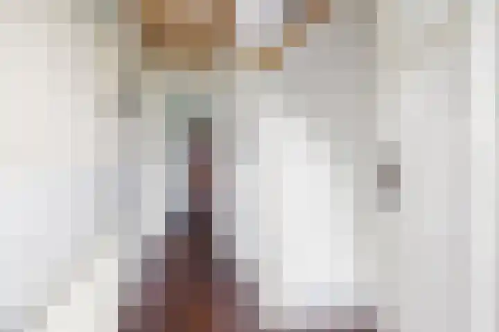 Sibadawei 30 Easterein thumbnail 9
