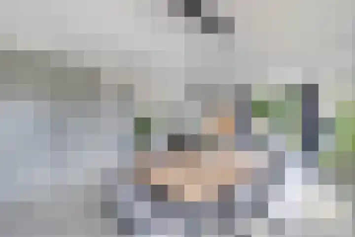 Sibadawei 8 Easterein thumbnail 12