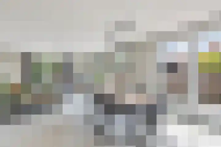 Sibadawei 8 Easterein thumbnail 13