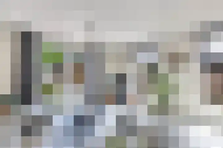 Sibadawei 8 Easterein thumbnail 14