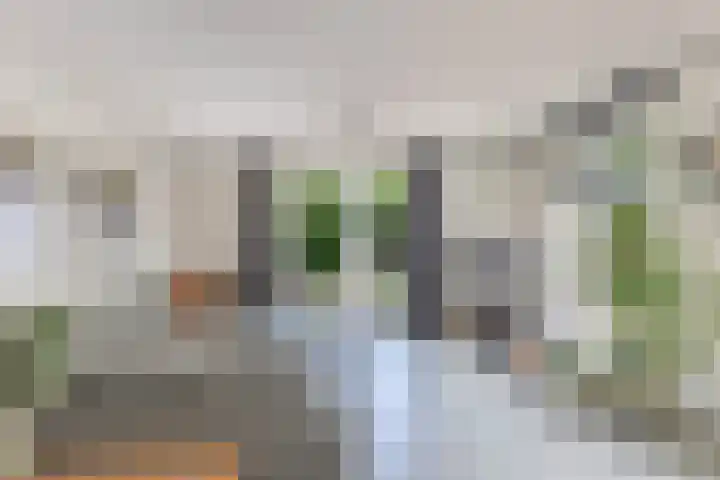 Sibadawei 8 Easterein thumbnail 16