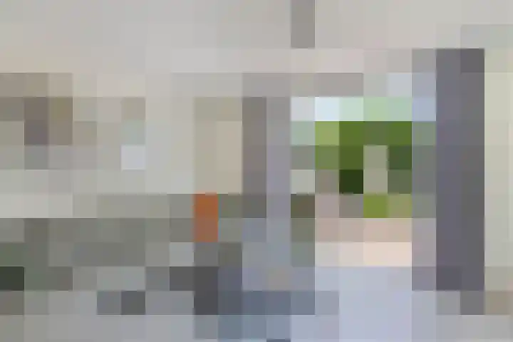 Sibadawei 8 Easterein thumbnail 17