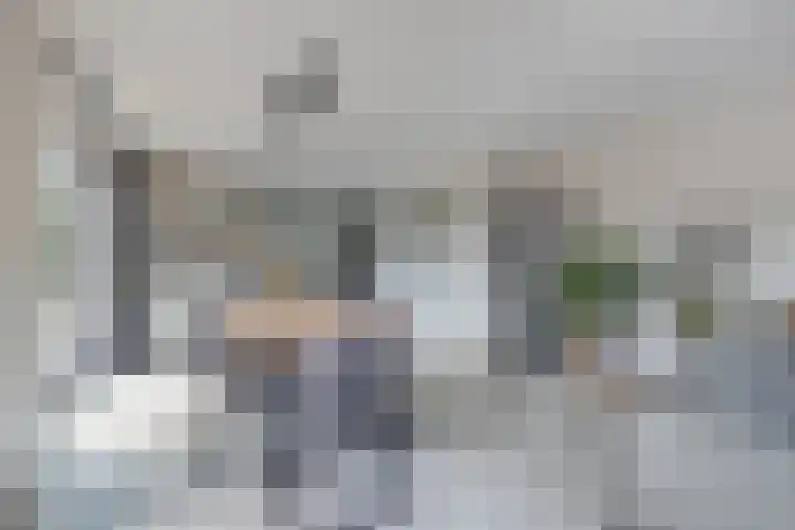Sibadawei 8 Easterein thumbnail 20