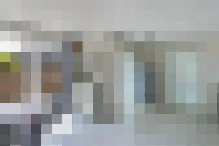 Sibadawei 8 Easterein thumbnail 21