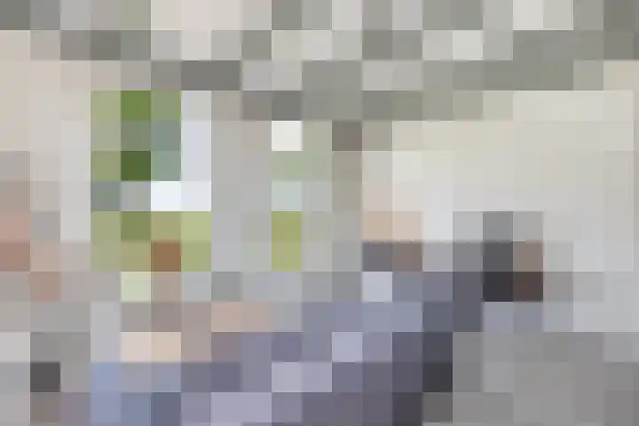 Sibadawei 8 Easterein thumbnail 24