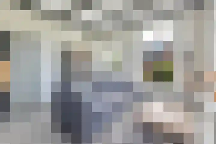 Sibadawei 8 Easterein thumbnail 25