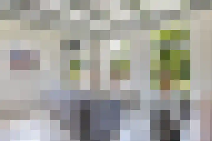 Sibadawei 8 Easterein thumbnail 27