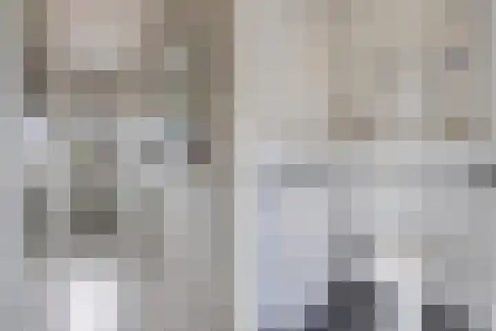 Sibadawei 8 Easterein thumbnail 28